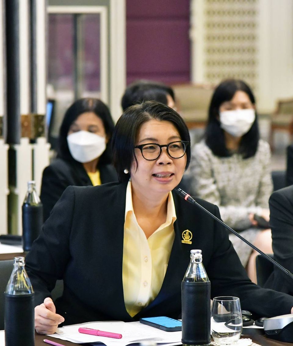 การประชุมเชิงปฏิบัติการในหัวข้อ Modelled Population Estimates to support Census Processes