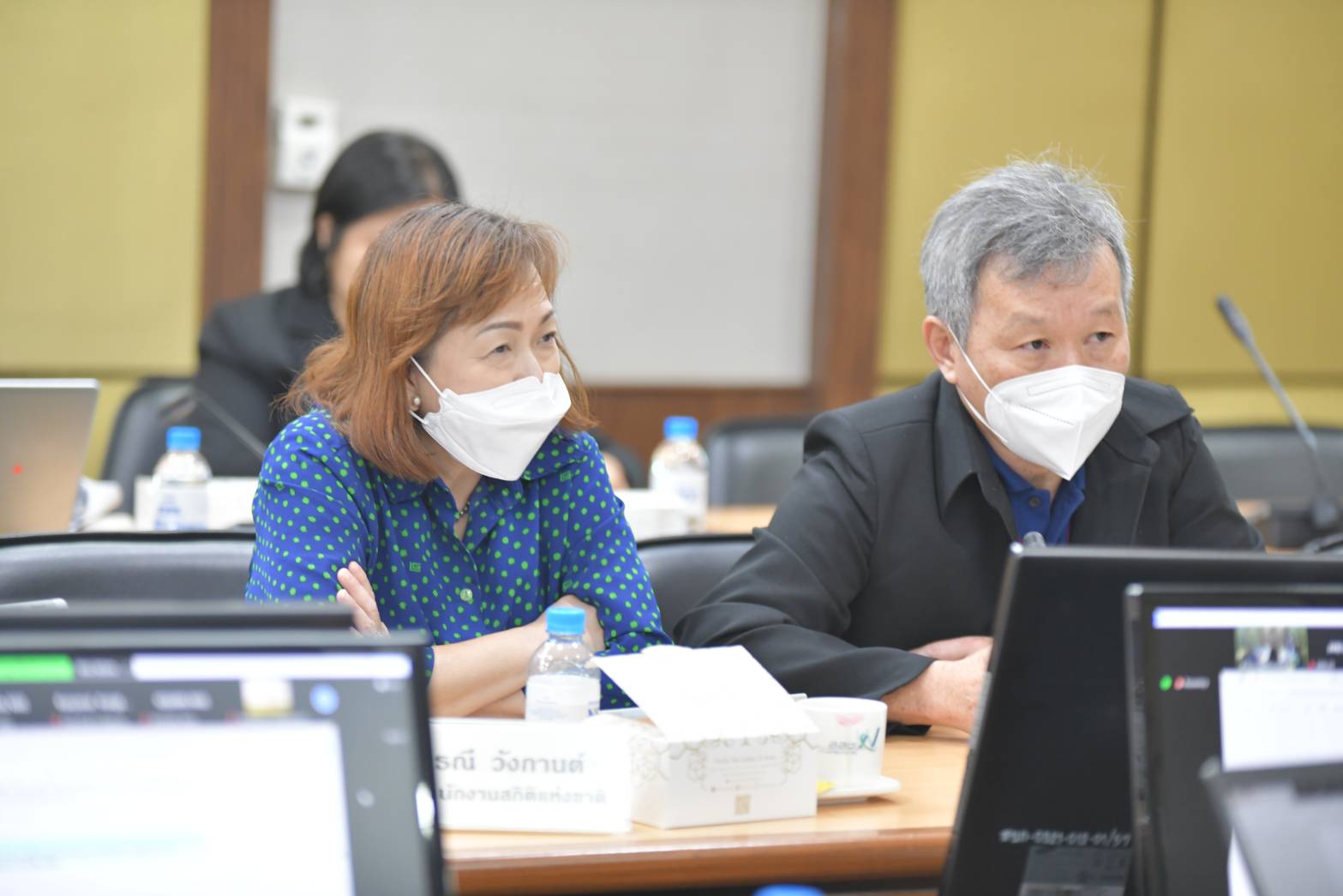 รายงานความก้าวหน้า