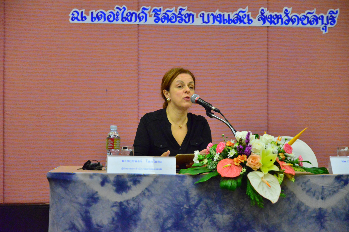 การออกแบบสำรวจ