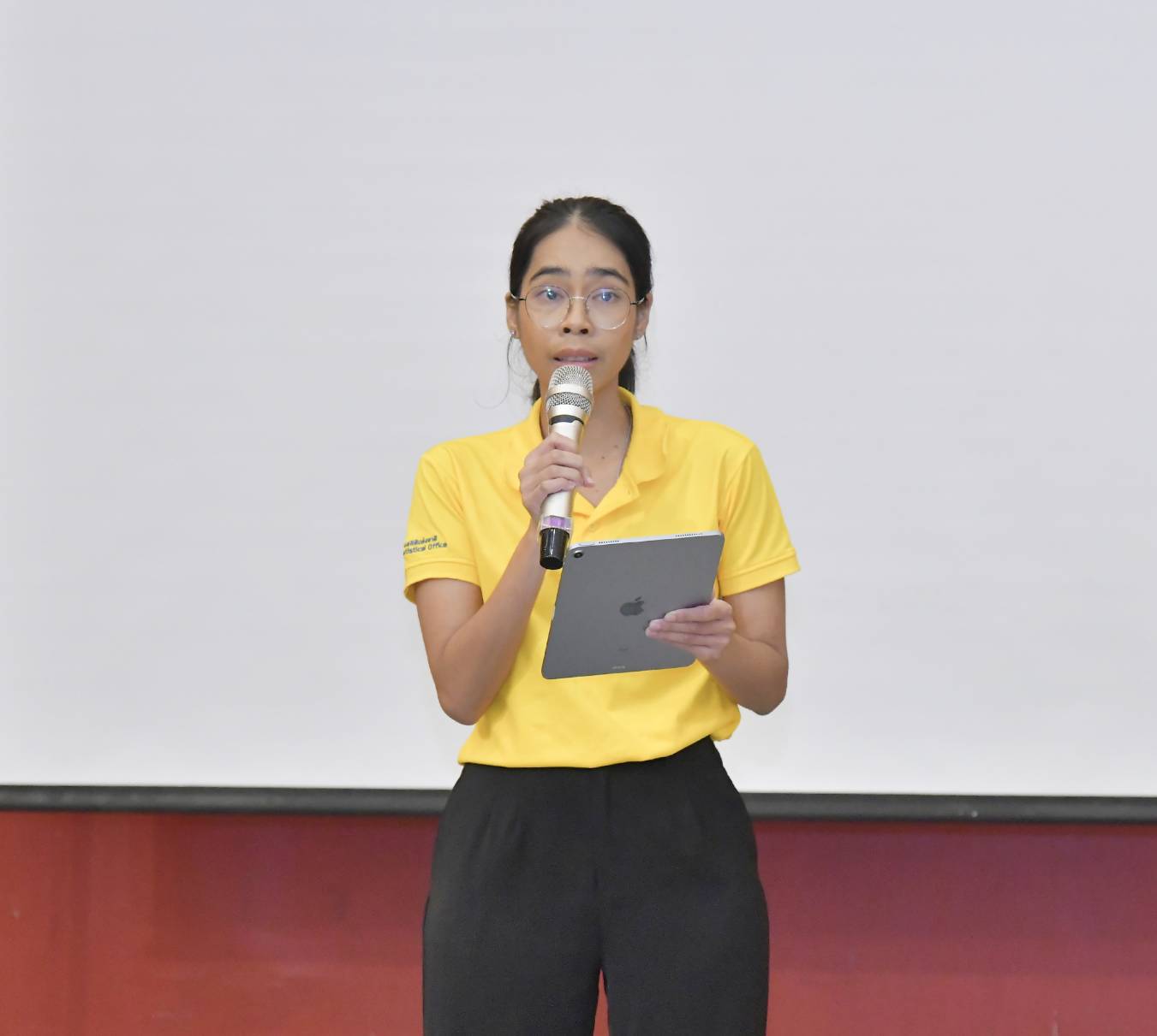 การขับเคลื่อนแผนพัฒนาสถิติ