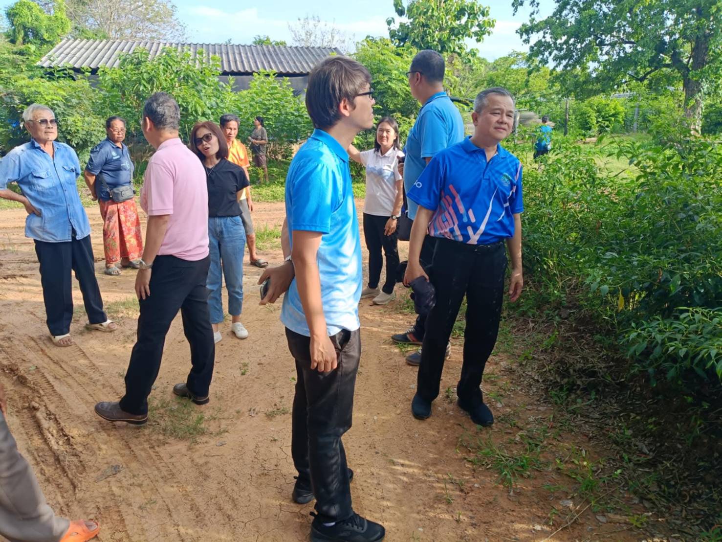 ศึกษารูปแบบการปลูกหม่อนเลี้ยงไหม