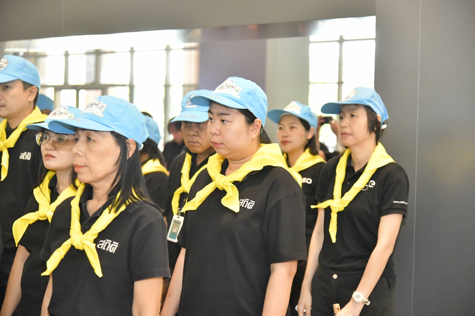 ปลูกป่า