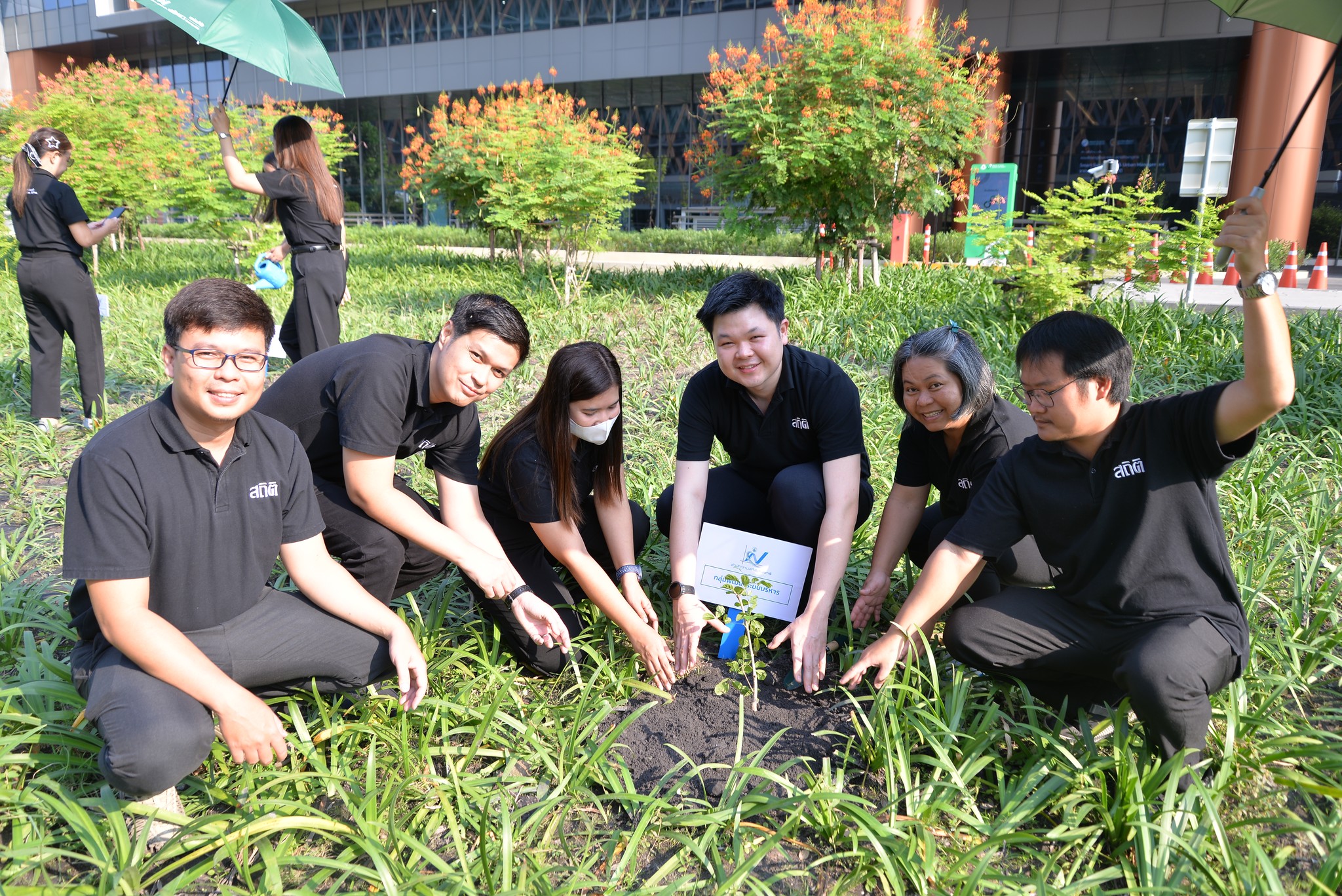 ปลูกป่า