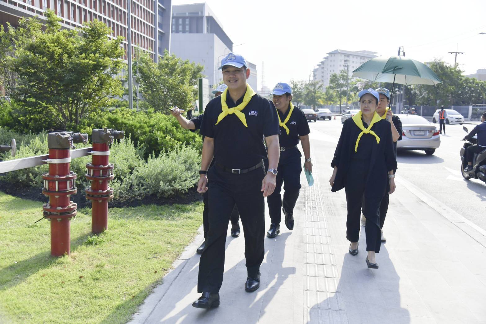 ปลูกป่า