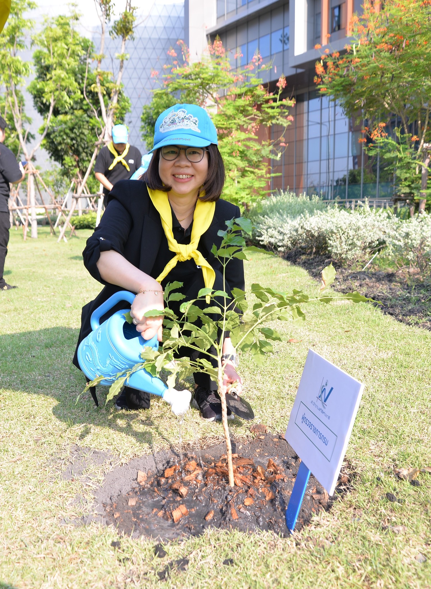 ปลูกป่า