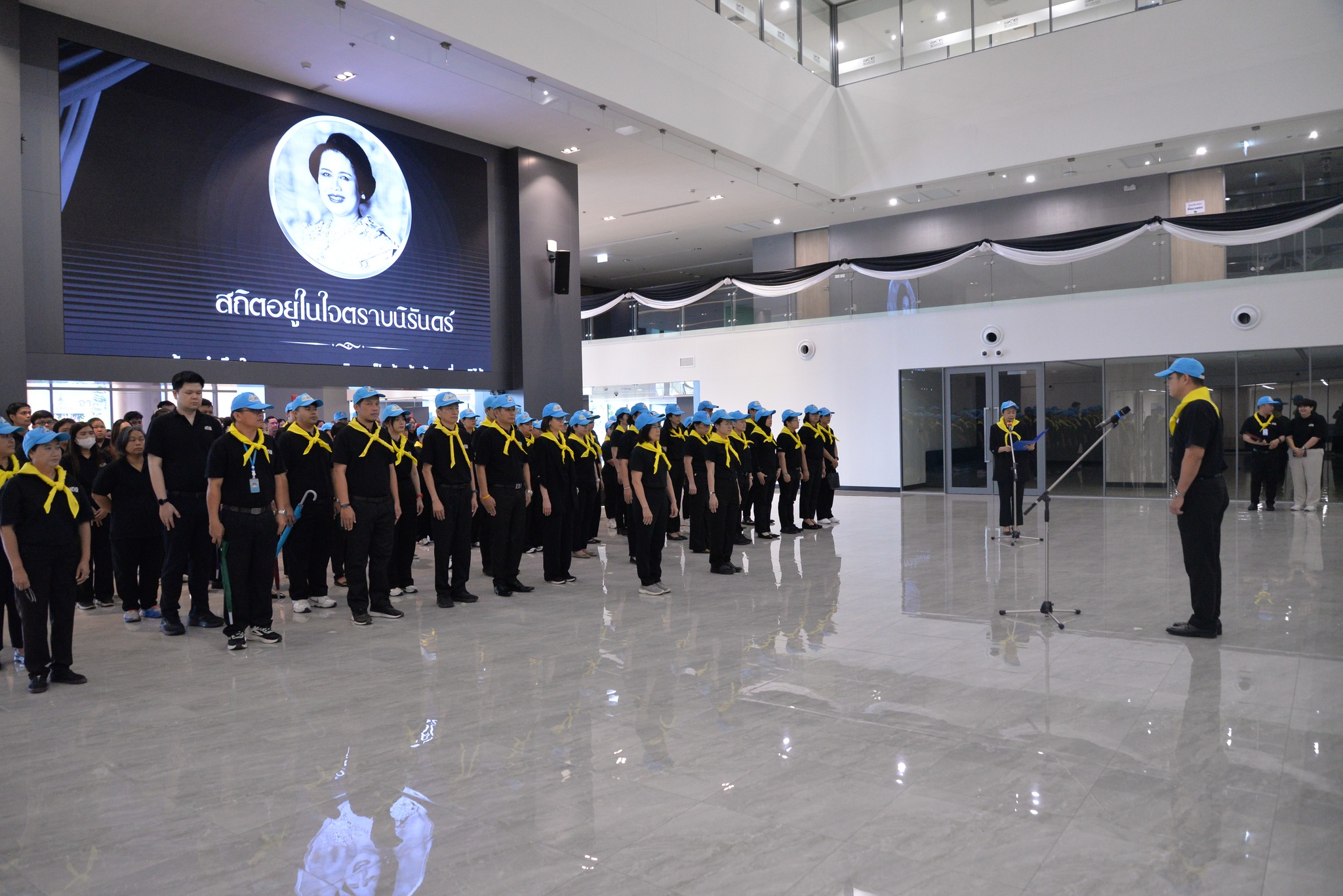 ปลูกป่า