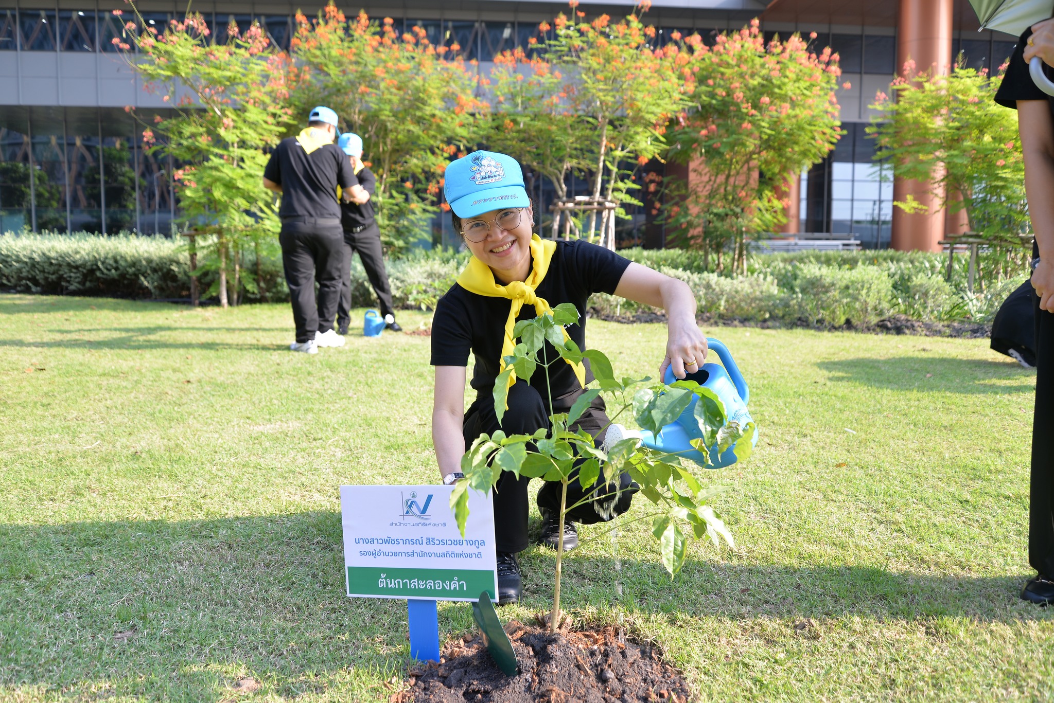 ปลูกป่า