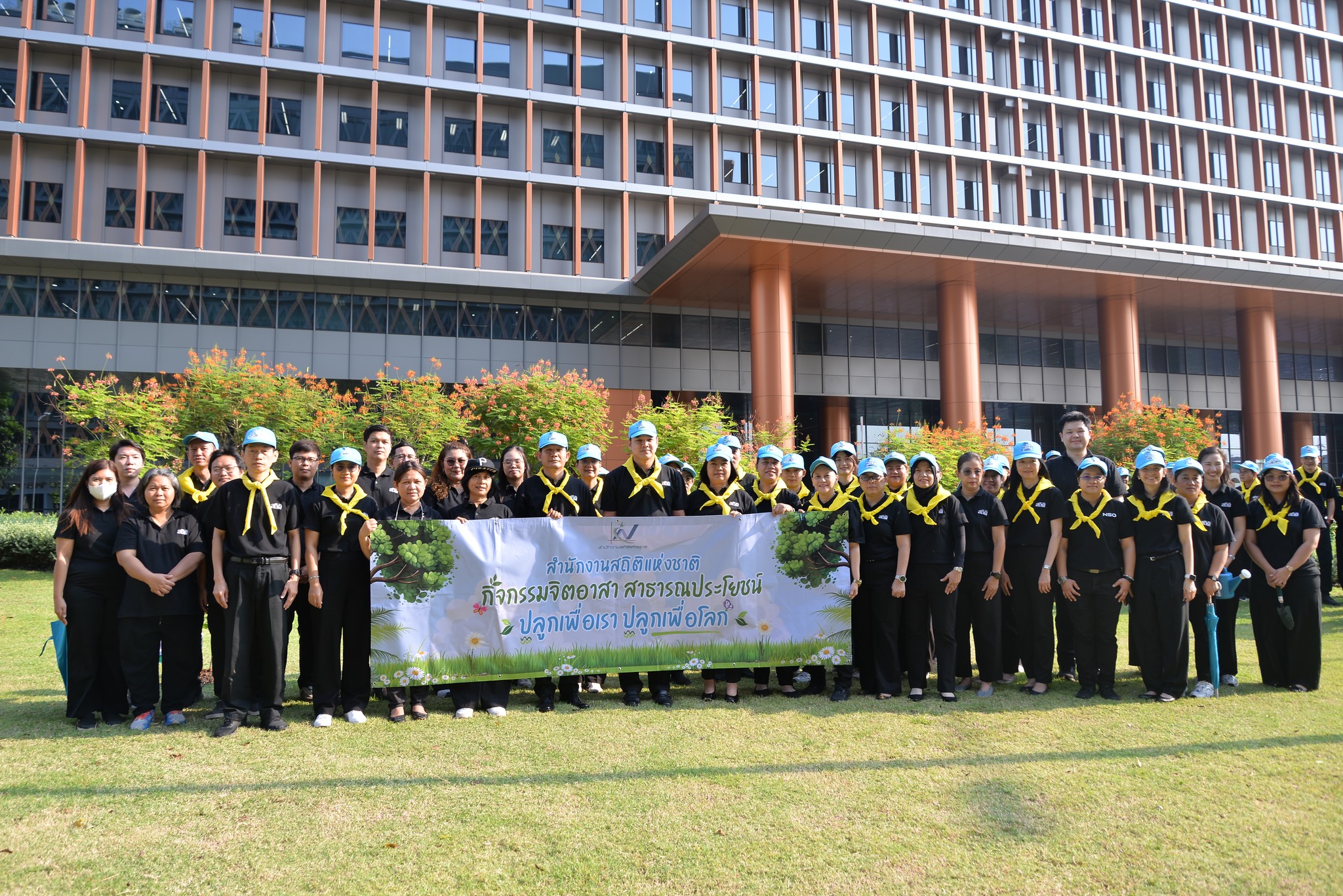 ปลูกป่า