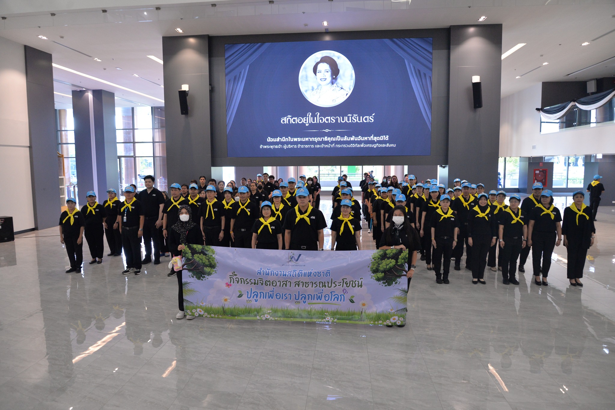 ปลูกป่า