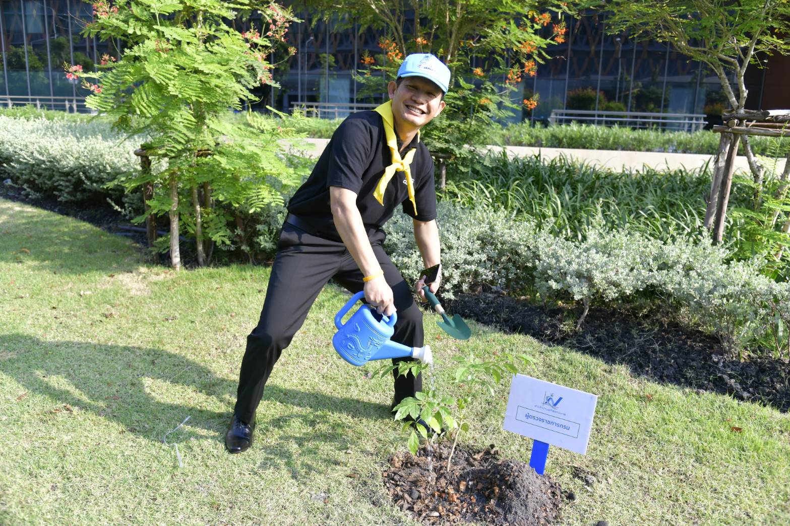 ปลูกป่า