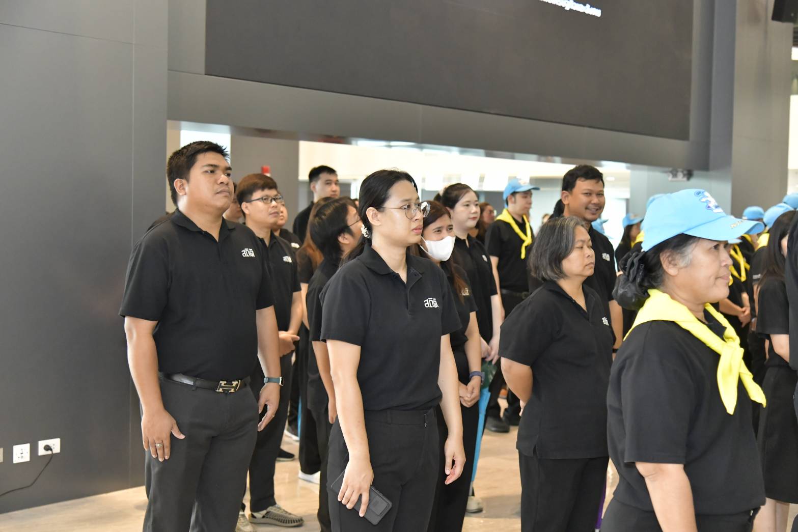 ปลูกป่า