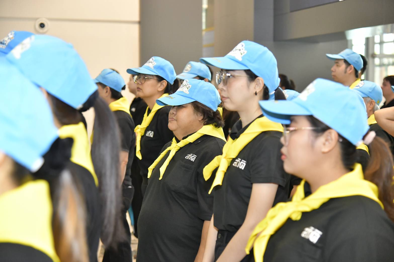 ปลูกป่า