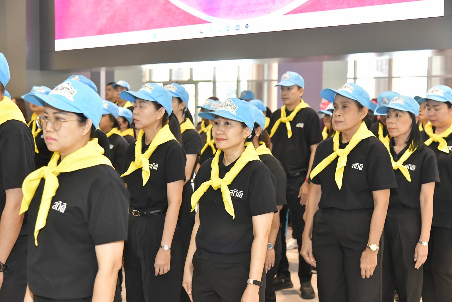 ปลูกป่า