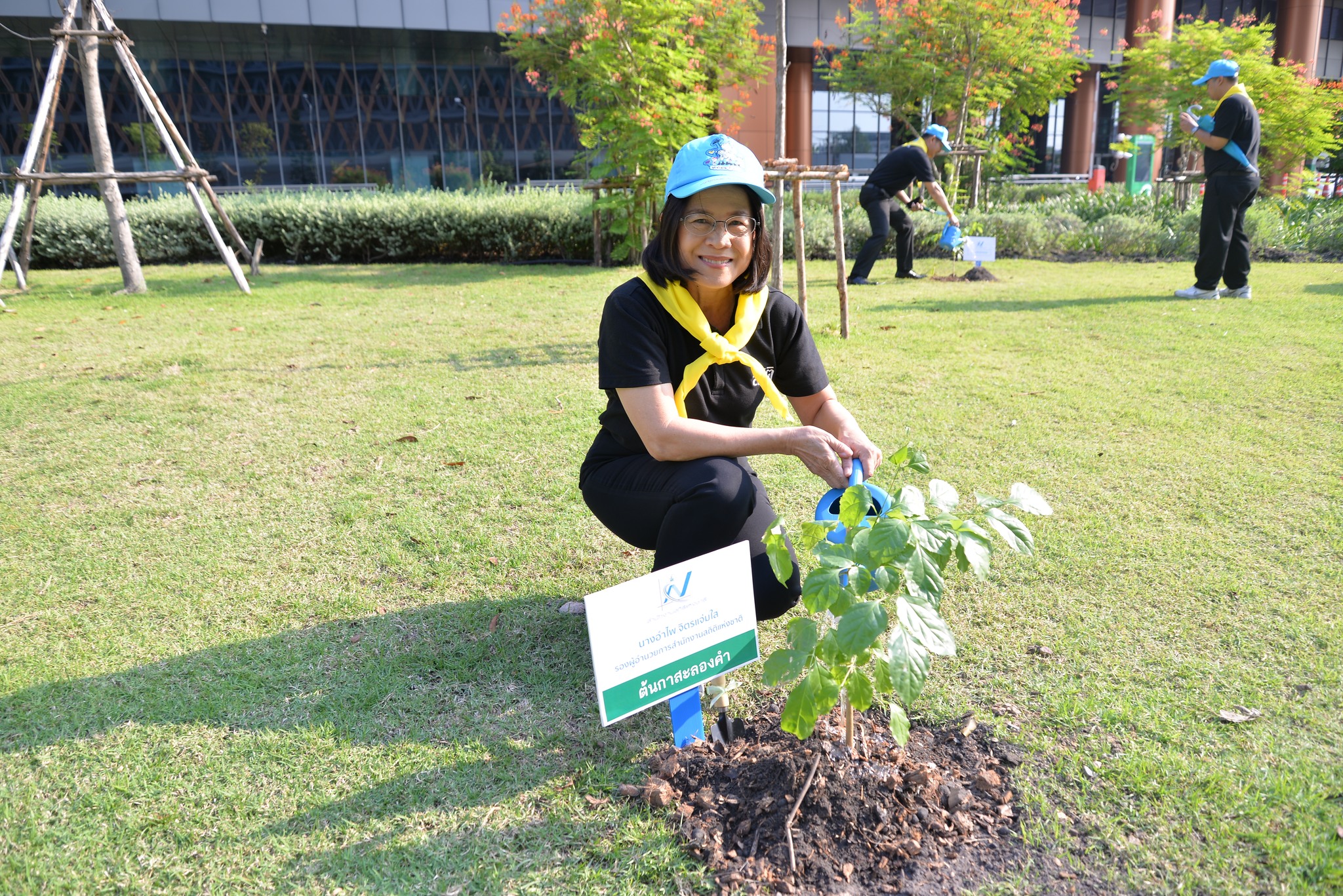 ปลูกป่า