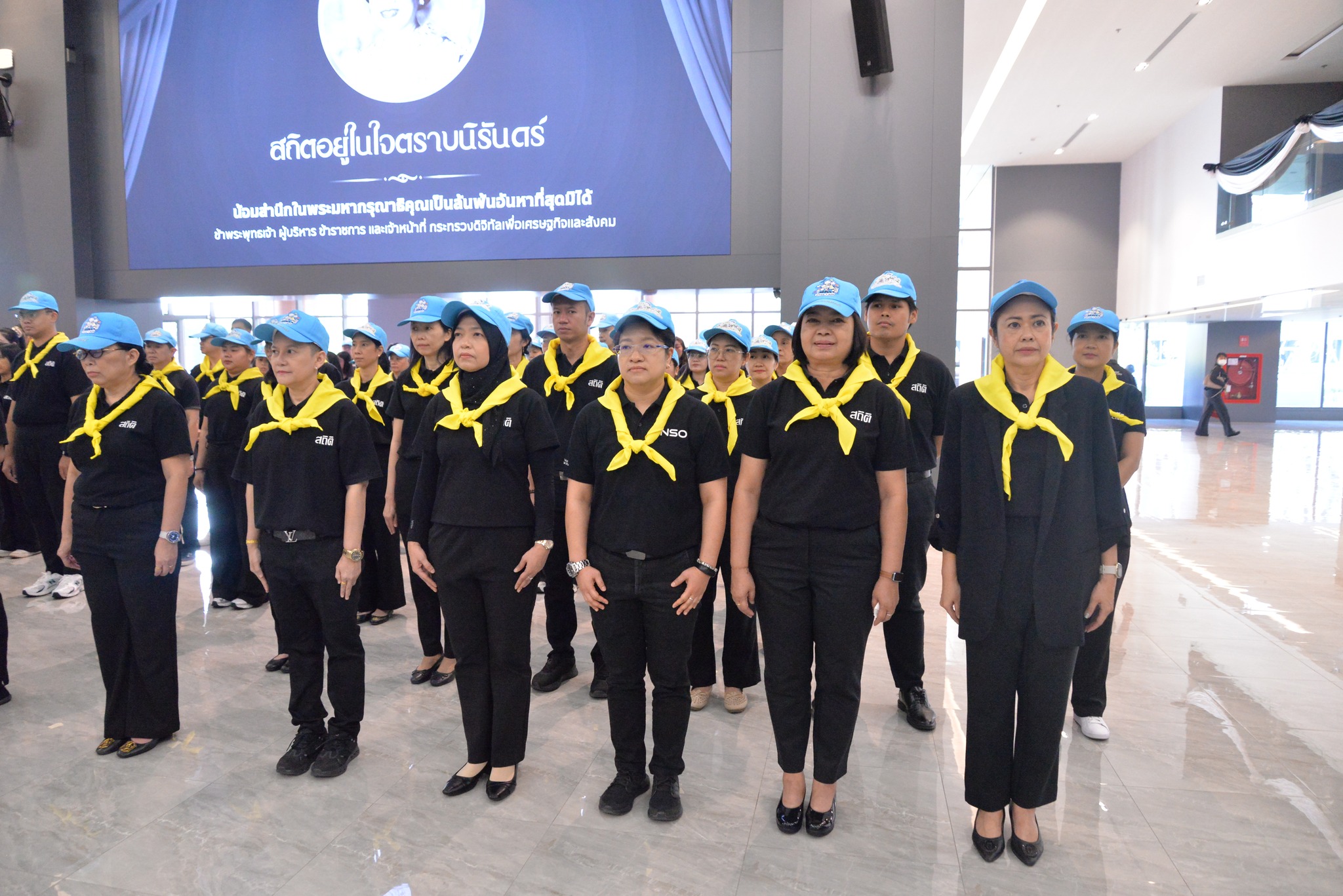 ปลูกป่า