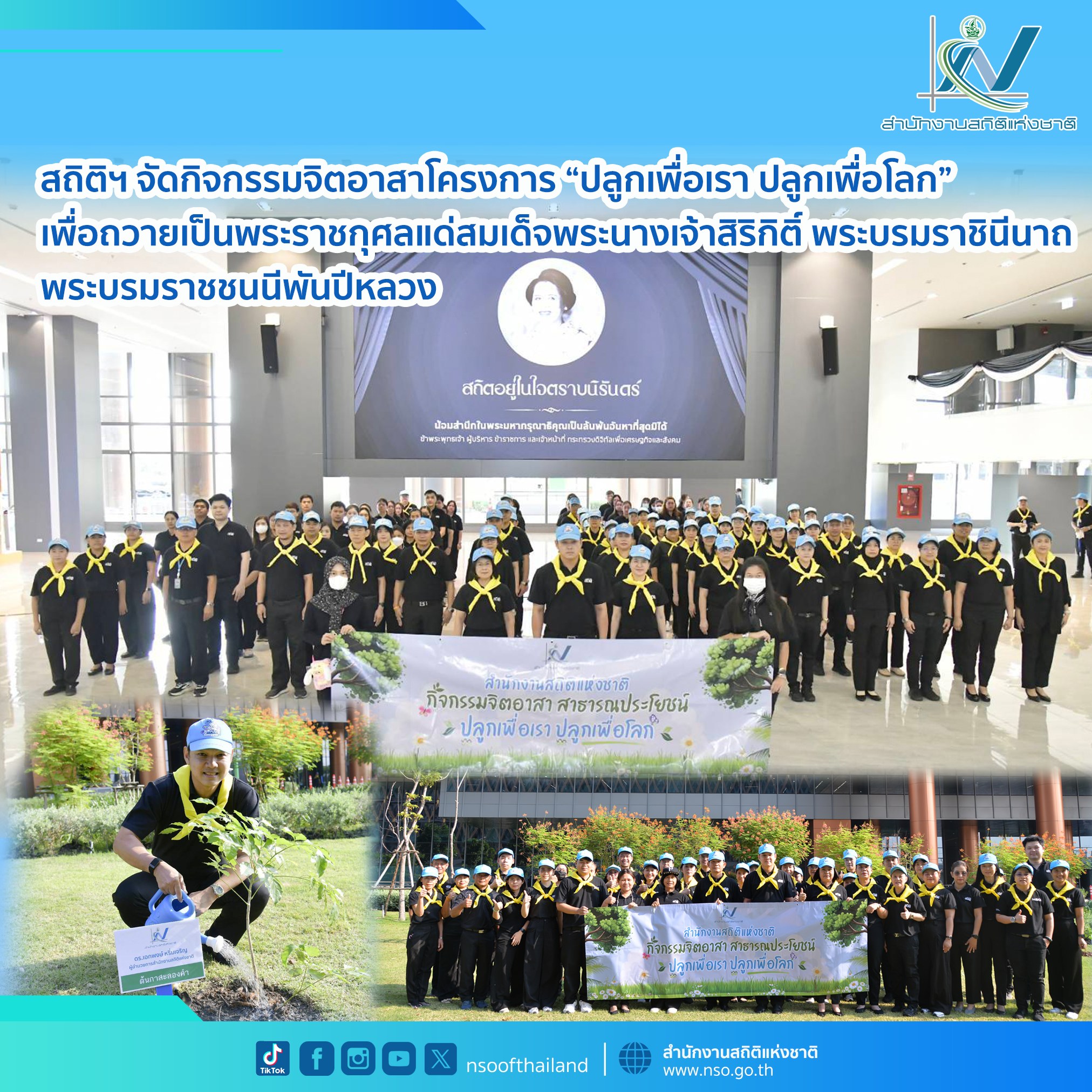 ปลูกป่า